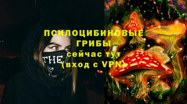 ECSTASY Абаза