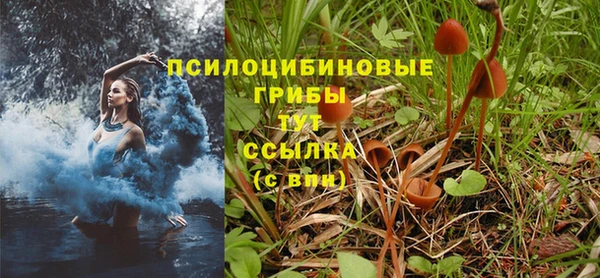 амф Абинск